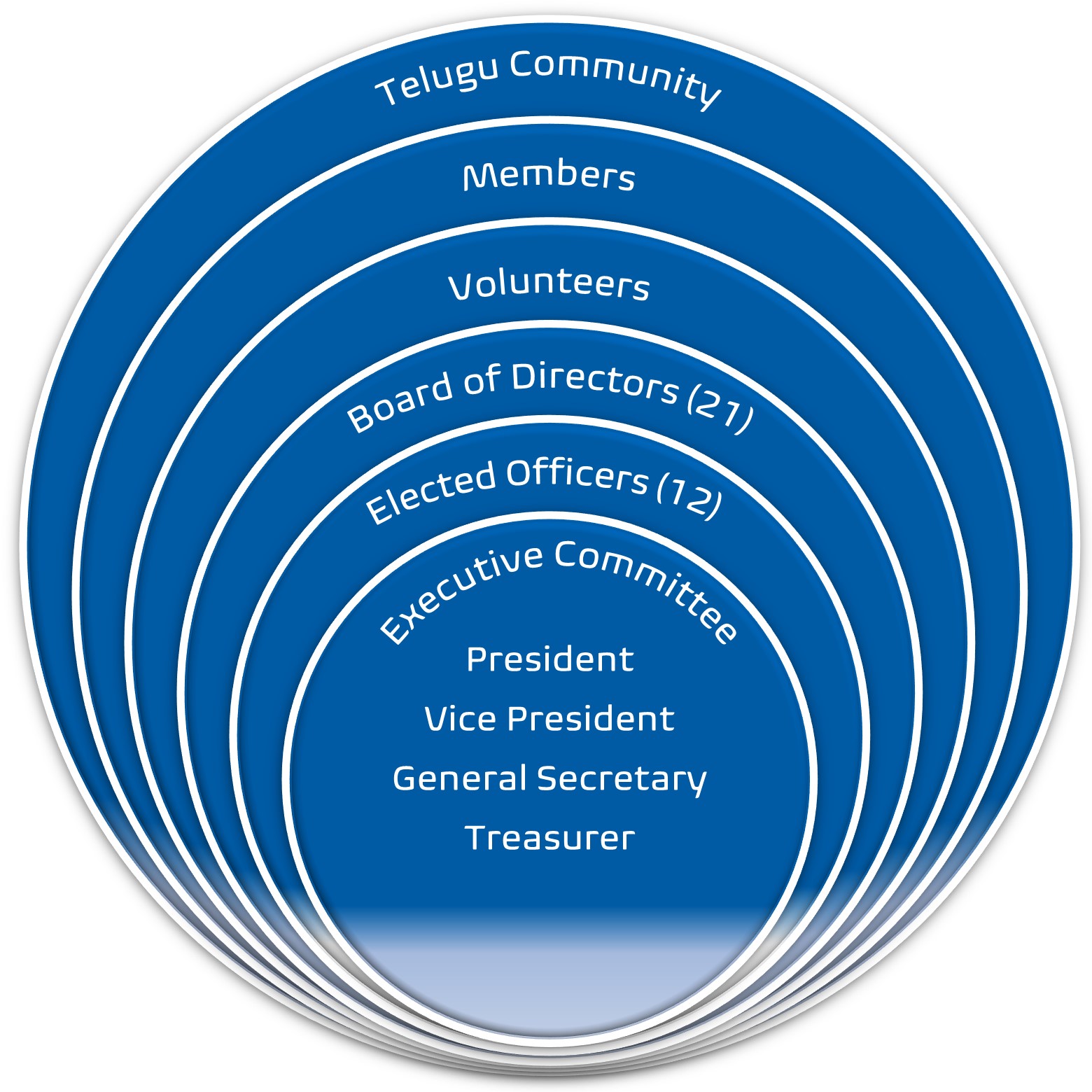 Organizational Structure